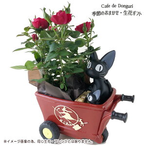 t[Mtg  킹s @̑}ց@WW̐Ԃ艟ԁ@v^[Jo[@G߂̂܂EԃZbg @ Wu ObY WW