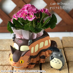 WuObY ƂȂ̃gg@lRoXƃgg@WI}{bNX@G߂̂܂EԃZbg X^WIWu Mtg Wu ObY