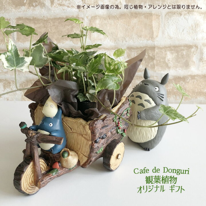 品多く プランターカバー三輪車 Materialworldblog Com