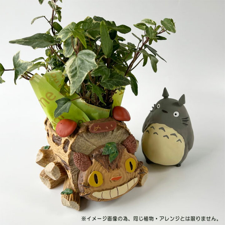 楽天市場】ジブリ グッズ となりのトトロ トトロと森のネコバス 植物 