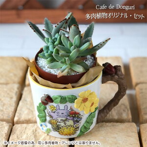 ϗtA ƂȂ̃gg ObY @Jbv^v^[Jo[@ggƂԂ̃A[`@܂AEAWZbg X^WIWu Wu  킹s