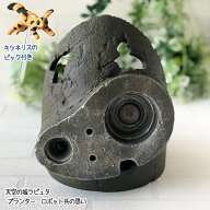 ジブリ グッズ 天空の城ラピュタ　プランター　ロボット兵の思い (2023) スタジオジブリ ギフト キツネリ…