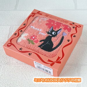 Wu ObY ̑} ~j^IBOX WW̉Ԕ X^WIWu Mtg  