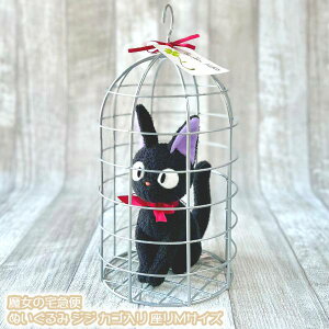 Wu ObY ̑} ʂ WW JS MTCY(2024) X^WIWu Mtg  jiji LN^[ kCO~ nEB RXv LL ˂ L RX`[  