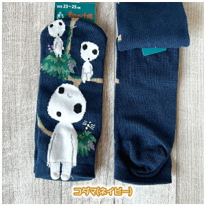 [OK Wu ObY ̂̂P C(\bNX) Xj[J[C 23-25cm lpTCY X^WIWu Mtg fB[X 