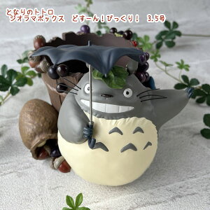 Wu ƂȂ̃gg@ƂȂ̃gg@WI}{bNX@ǂ[IтI@3.5 X^WIWu Mtg ƂƂ K[fjO   t[ LN^[