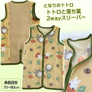 Wu ObY ƂȂ̃gg ggƗt 2wayX[p[ (2024)@X^WIWu Mtg ƂƂ xr[  oYj 킢@LN^[