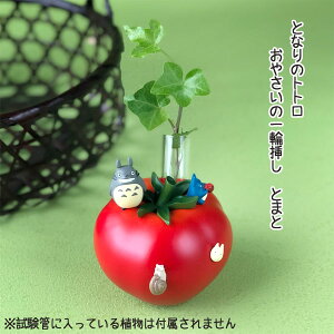 Wu ObY ƂȂ̃gg ₳֑̈} Ƃ܂(2024) X^WIWu Mtg ƂƂ totoro K[fjO  A  t[ CeA LN^[ 킢 