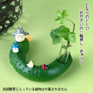 Wu ObY ƂȂ̃gg ₳֑̈} イ(2024) X^WIWu Mtg ƂƂ totoro K[fjO  A  t[ CeA LN^[ 킢 