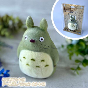 Wu ObY ƂȂ̃gg h[RNV gg(2024) X^WIWu Mtg ƂƂ totoro l` ǁ[ ߋ  tBMA ꂭ CeA 킢 @
