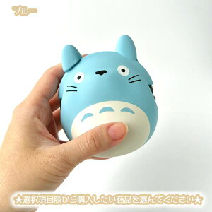 Wu ObY ƂȂ̃gg VR܂ S2FEI (2025) X^WIWu Mtg LN^[ ƂƂ totoro RCP[X K |[` 킢 