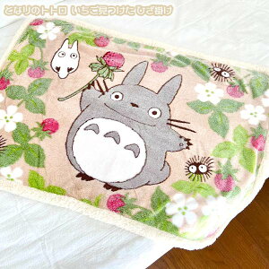 Wu ObY ƂȂ̃gg  Ђ|(2024) X^WIWu Mtg ƂƂ totoro LN^[ Ђ Q  H ~ h 킢 