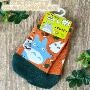 [OK Wu ObY 25AW ƂȂ̃gg qC(\bNX) Xj[J[ hO 13-19cm qpTCY X^WIWu Mtg qǂ LbY  ƂƂ LN^[C