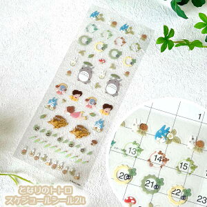 [OK Wu ObY ƂȂ̃gg XPW[V[24(2025) STR-06N@X^WIWu Mtg ƂƂ totoro LN^[  [ _CA[ [ fR 蒠 킢 