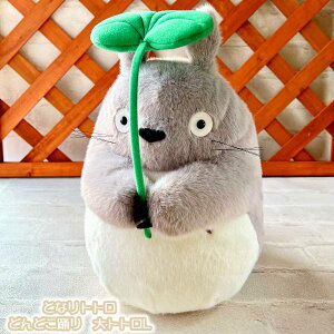 Wu ObY ƂȂgg@ʂ݁@ǂǂx@ggL@K-9496 X^WIWu Mtg ƂƂ