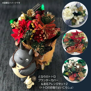 Wu ObY ƂȂ̃gg v^[Jo[ԃAWZbgwinter(gĝ͂悢炵) X^WIWu u  킢 NX}XMtg