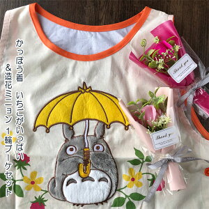 Wu ƂȂgg ObY ۂ ςԃ~j1փu[PZbg(u[PFI) X^WIWu gg̓ zCgf[