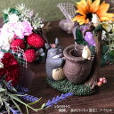 楽天市場 用途 機能別カテゴリー ガーデニング ｃａｆｅ ｄｅ ｄｏｎｇｕｒｉ