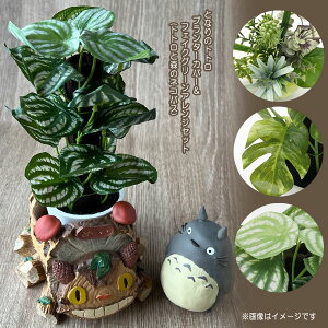 Wu ObY ƂȂ̃gg v^[Jo[tFCNO[AWZbg(ggƐX̃lRoX) X^WIWu u  킢 T}[Mtg ϗtA