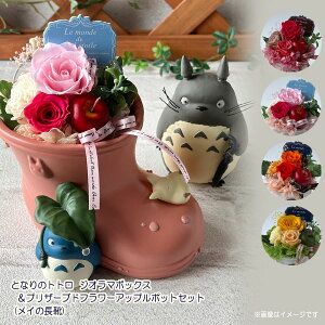 Wu ƂȂ̃gg ObY WI}{bNXvU[uht[Abv|bgZbg(C̒C) X^WIWu WW v^[ zCgf[ u 킢 