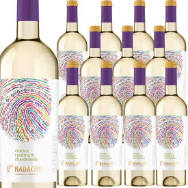 [12本セット] ラダチーニ・アンプレ・ヴィオリカ・ブレンド (ラダチーニ・ワインズ)　 Radacini Ampre Viorica Chardonnay Blend (Radacini Wines)　モルドバ共和国 コドゥル 白 辛口 750ml