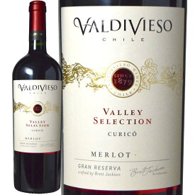 ヴァレー・セレクション・メルロー (ビーニャ・バルディビエソ)　Valley Selection Merlot (Vina Valdivieso)　チリ/セントラル・ヴァレー/クリコ・ヴァレーDO/赤/フルボディ/750ml