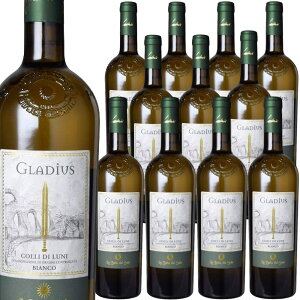 [12{Zbg] OfBEXERbEfBE[jErAR (tFf[`EfBEW[IEtFf[`)@Gladius Colli di Luni Bianco (Federici di Giulio Federici)@C^A O[A Rb