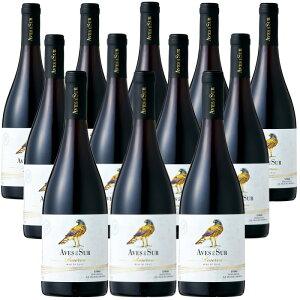 [12�{�Z�b�g] �f���E�X�[���E�V���[�E���Z���o (�r�[�j���E�f���E�y�h���K��)�@Aves del sur Syrah Reserva (Vina del Pedregal S.A)�@�`�� �Z���g�����E���@���[ �����R�~�[�W���E���@���[DO �� �t���{�f�B