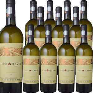 [12�{�Z�b�g] ���@�C���E�C���E�t���C���E�t�F�e�A�X�J�E���K�[�� (���B���E�u�h�D���A�X�J) Vine in Flames Feteasca Regala (Viile Budureasca) / ���[�}�j�A / �����e�j�A / �f�A���E�}�[�� / DOC�f�A���E�}