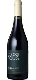 ピノ・ノワール・スブソルム [2020] (クロ・デ・フ)　Pinot Noir Subsollum (Clos des Fous)　チリ アコンカグア コスタDO 赤 ミディアムボディ 750ml