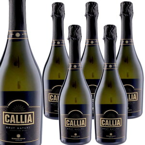 [6�{�Z�b�g] �J���A�E�u�����b�g�E�i�`���[�� (�{�f�K�X�E�J���A)�@Callia Brut Nature (Bodegas Callia) �y���B�[�K�� vegan�F�؁z �A���[���`�� �T���E�t�@�� �g�D�����E���@���[ �� �h�� �A �X�p�[�N