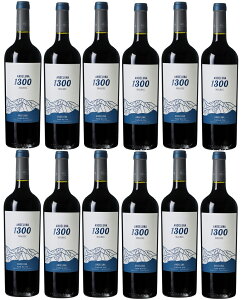 [12{Zbg] Af[iE}xbN (Af[iEZ[Y)@Andeluna Malbec (Andeluna Cellars)@A[` h[T  t{fB 750ml