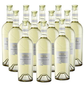 [12本セット] ピポリ・ビアンコ (ヴィニエティ・デル・ヴルトゥーレ) Pipoli Bianco (Vigneti del Vulture) / イタリア / バジリカータ / 白ワイン / 辛口 / 750ml