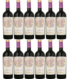 [12本セット] ラダチーニ・アンプレ・サペラヴィ・ブレンド (ラダチーニ・ワインズ)　Radacini Ampre Saperavi Blend (Radacini Wines)　モルドバ ステファン・ヴォーダ 赤 ミディアムフルボディ 750ml