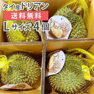 ドリアンの人気商品 通販 価格比較 価格 Com