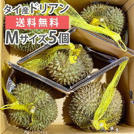 楽天市場 ドリアン フルーツ 果物 食品 の通販