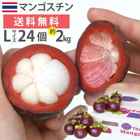 楽天市場 マンゴスチン フルーツ 果物 食品 の通販 楽天市場 マンゴスチン フルーツ 果物 食品 の通販