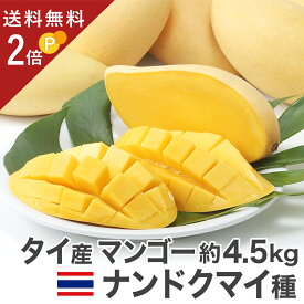 [毎週入荷、入荷次第出荷]　 タイ産 マンゴー ナンドクマイ種 約4.5kg 9〜18玉入り 生鮮 航空便 送料無料 タイ料理 Nam Dok Mai NamDokMai ナムドクマイ ナムドックマイ プレミアムマンゴー