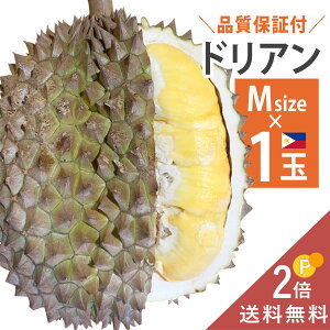 【次回入荷待ち&予約受付中】 準備ができ次第出荷 フィリピン産 ドリアン Mサイズ 1玉 約1.1〜kg 生鮮 生 生ドリアン 送料無料 durian プヤット種