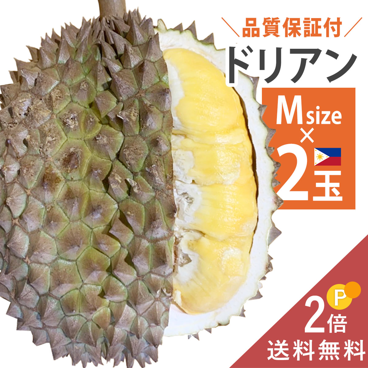 フィリピンで有名な品種の1つ プヤット種をお届け ドリアン好きな方へ大変おすすめです 日曜までの注文→翌木曜出荷予定 準備ができ次第すぐ出荷 フィリピン産 ドリアン Mサイズ 2玉 至高 送料無料 生 生ドリアン 大きな割引 プヤット種 durian 生鮮 約1.1～kg 1玉あたり