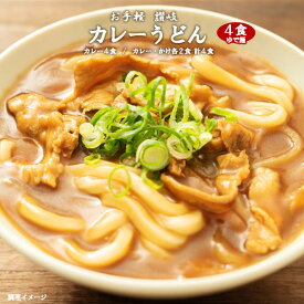 【期間限定 10%ポイントバック！】送料無料 讃岐のカレーうどん4食 カレーソース付き ゆでうどん 長期保存 食品 讃岐うどん ポイント消化 送料無 お試し 取り寄せ ご当地グルメ