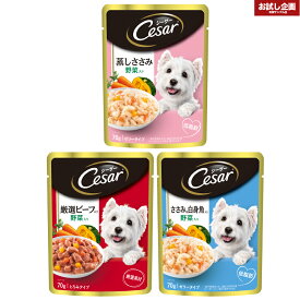 楽天市場 シーザー 犬 送料無料の通販