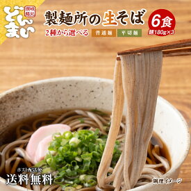 【期間限定ポイント20倍】 1000円ポッキリ 送料無料 蕎麦 讃岐生そば 6食セット 麺のみ 年越しそば 年越し蕎麦 普通麺 平切麺そば 生蕎麦 香川県 産地直送 お歳暮 お試し ポイント消化 送料無 食品 グルメ 在庫処分 フード 人気 おすすめ ポスト投函 生麺 ギフト どんまい