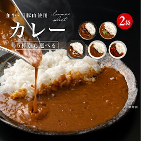 1000円ポッキリ 送料無料 贅沢カレー2食(160g×2) 5種から選べる レトルトカレー 和牛 黒豚 神戸牛 宮崎牛 石垣島和牛 松坂牛 ポイント消化 食品 お試し ポイント消費 グルメ 非常食 保存食 防災食 長期保存 仕送 どんまい