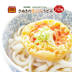 【20%ポイントバック！】天ぷら一丁10食 天ぷらうどん 讃岐うどん 送料無料 （北海道・沖縄・離島+1500円） ご当地セット 産直 福袋　ポイント利用 食品 グルメ 食べ物 敬老の日 プレゼント お中元 御中元 中元 ポイント消化 送料無