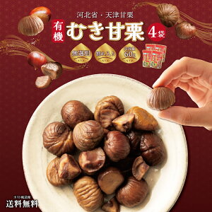 yԌ|Cg10{z 1000~|bL  ÌI 60g×4 ܂ ނ I I  |Cg Hi   O ܂  HׂTCY Y