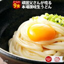 1000円ポッキリ 送料無料 うどん 讃岐うどん 生うどん 9食セット 生麺 300g×3袋 冷やし 温うどん 両対応 香川 頑固父さんが唸る讃岐生うどん 香川県 産地直送 お試し ポイント消化 在庫処分 フード ポイント消費 おすすめ グルメ 食品 どんまい