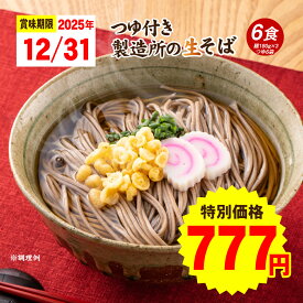 【賞味期限 2025年12月31日 につき特別価格777円！】送料無料 石臼引きの本格派 生そば 6食 希釈つゆ付き 福袋 グルメ 香川県 産地直送 食品 人気 おすすめ 麺 純生 生麺 つゆ そばつゆ