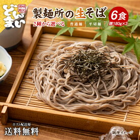 1000円ポッキリ 送料無料 讃岐生そば 6食セット 麺のみ 普通麺 平切麺そば 生蕎麦 生そば 香川県 産地直送 お歳暮 お試し ポイント消化 送料無 食品 在庫処分 フード 人気 おすすめ ポスト投函 麺生 生麺 ギフト