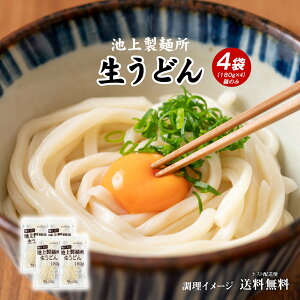 送料無料 池上製麺所 生うどん 180g×4袋 大盛り1人前 小盛り2人前 ポイント消化 送料無 ポイント消費 讃岐うどん うどん ポイント消化 ご当地 美味しい グルメ お取り寄せ 食品 グルメ 香川 産